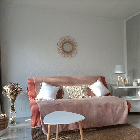 Charmant Appartement Bord De Mer Argelès-sur-Mer Kültér fotó